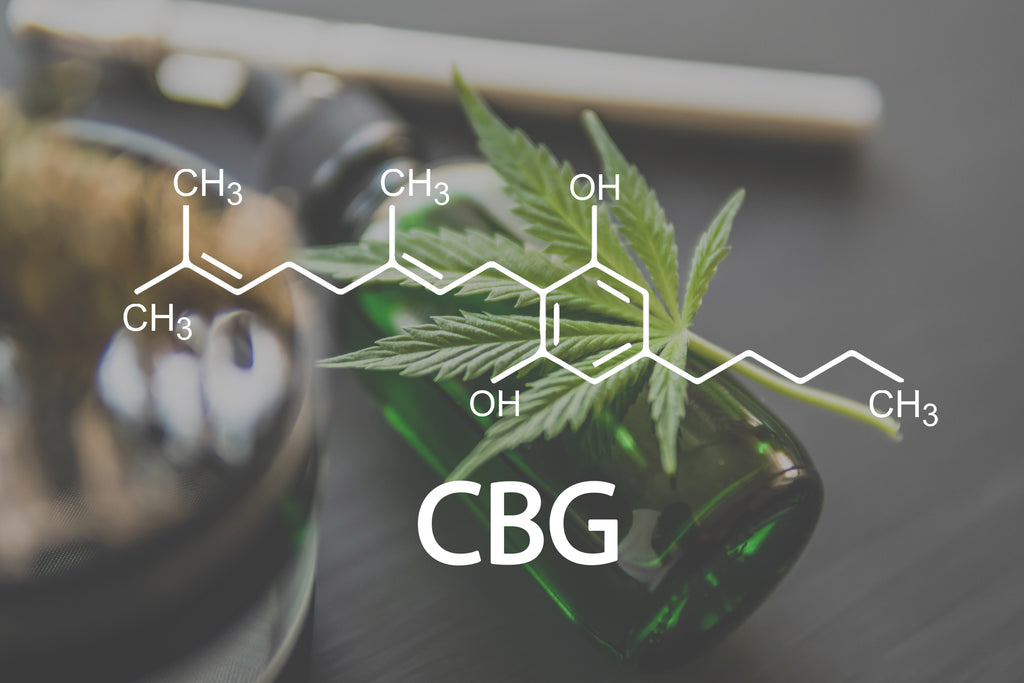 A complete guide to CBG oil Ireland