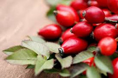Rosehips