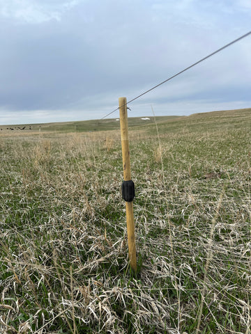 Fiber Glass Post Hi-Tensile Fence