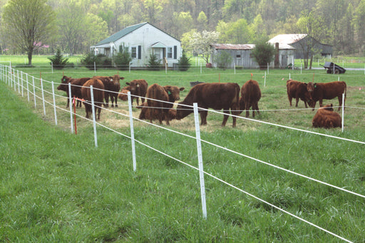 timeless fence coupon