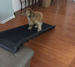 wide ramps for large dogs