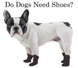 how to clean dog poop off shoes