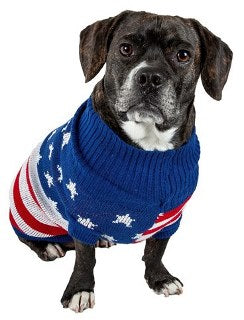 a black dog wearing a spotted blue sweater