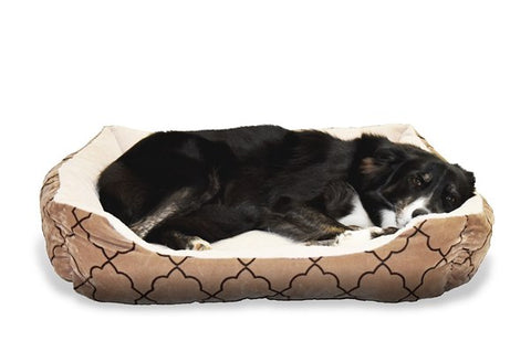 best budget for dog beds