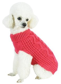 a white dog wearing a red dog sweater