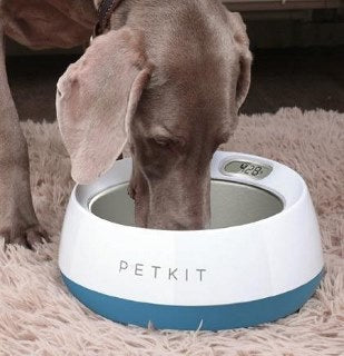 fresh metal large anti bacterial smart food weight calculating dog bowl