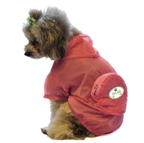 cute dogs raincoat