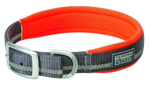 sturdy dog collars