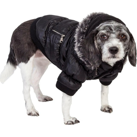 suitable winter coats for dogs