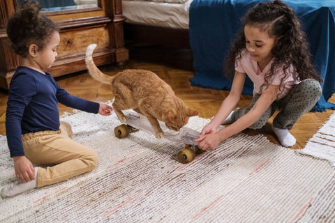 Orange tabby cat on pennyboard, children are playing with their cat