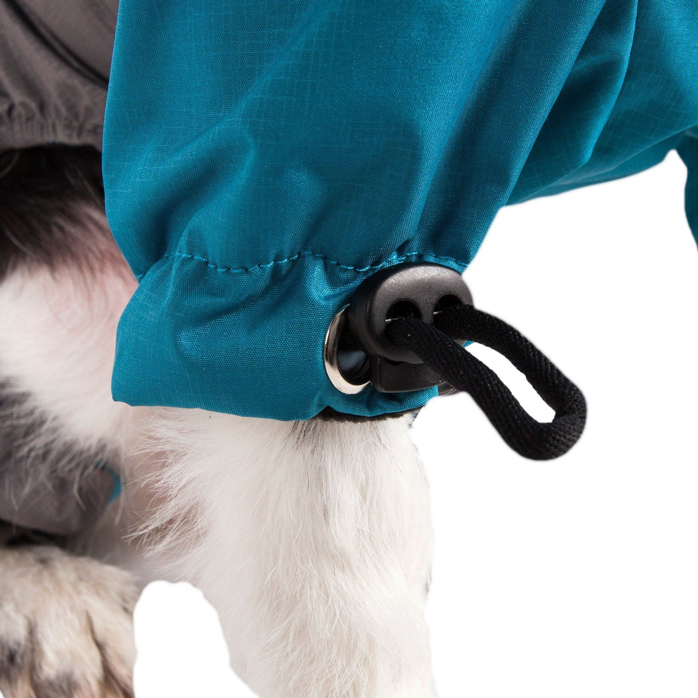 blizzard dog coat
