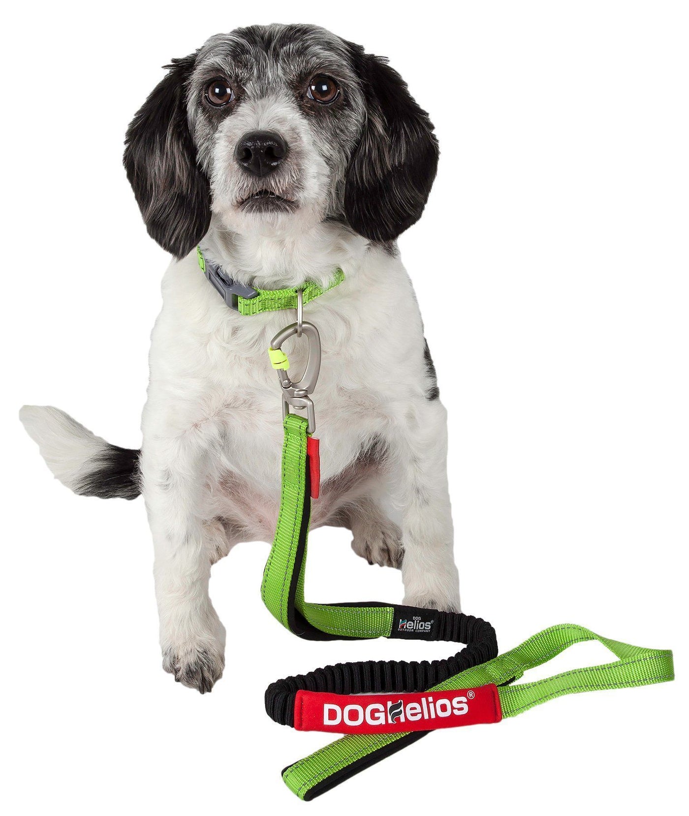 unchewable dog leash