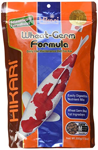 Hikari Wheat Germ - Medium Floating Pellets - 17.6 oz