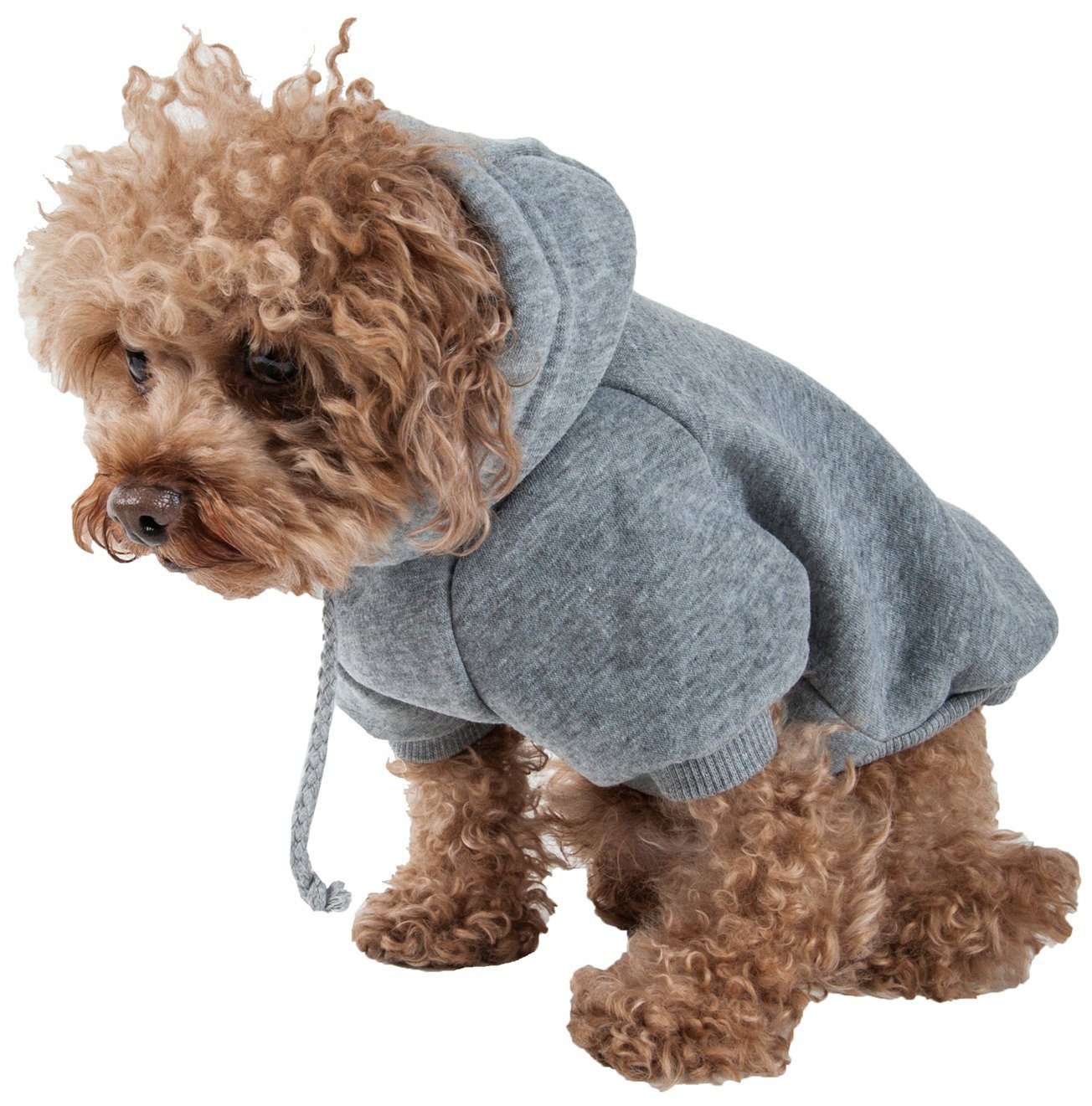 x small dog sweater