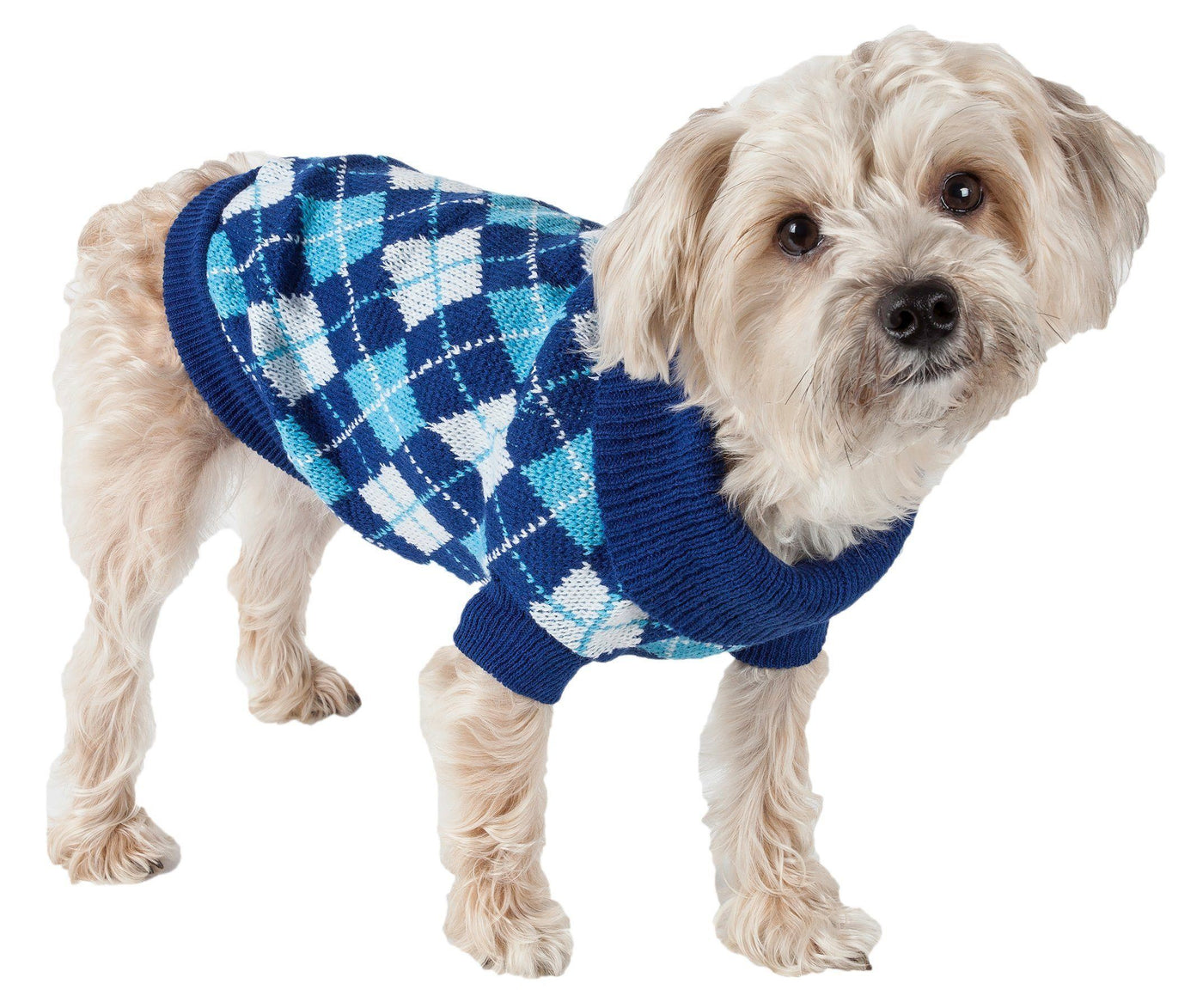 designer dog coats