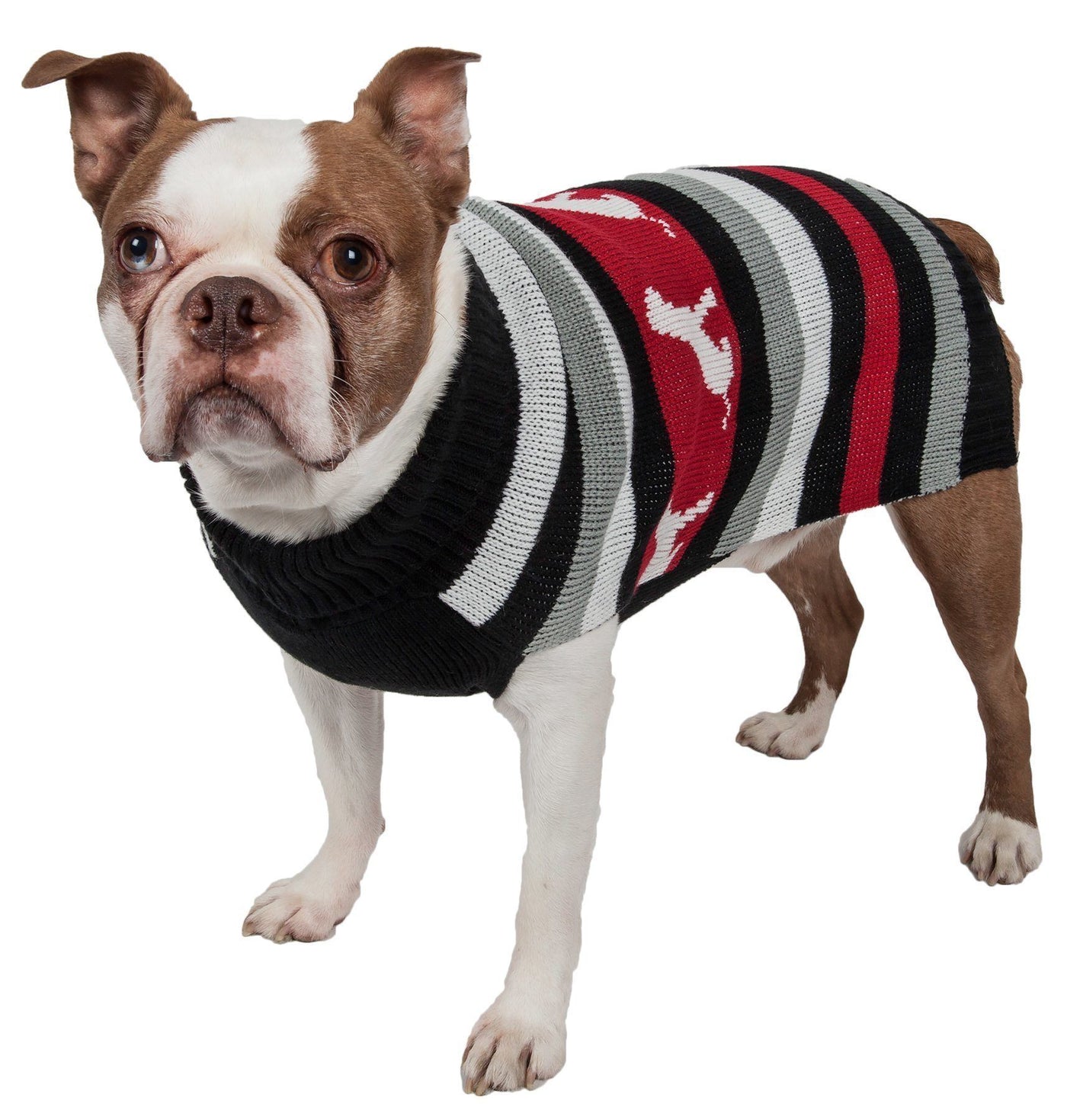 x small dog sweater