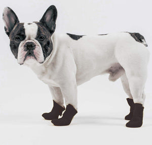 bull dog shoes