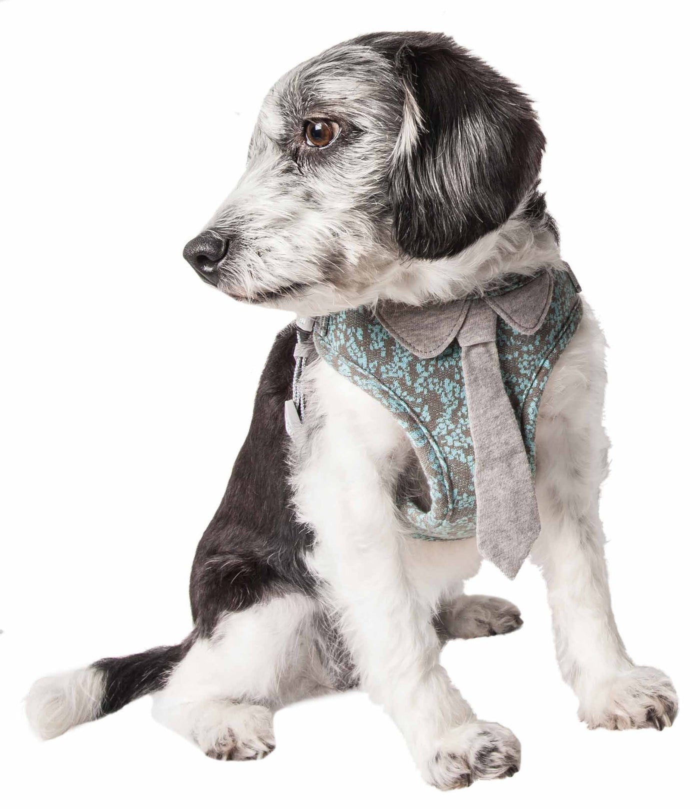 designer dog harness