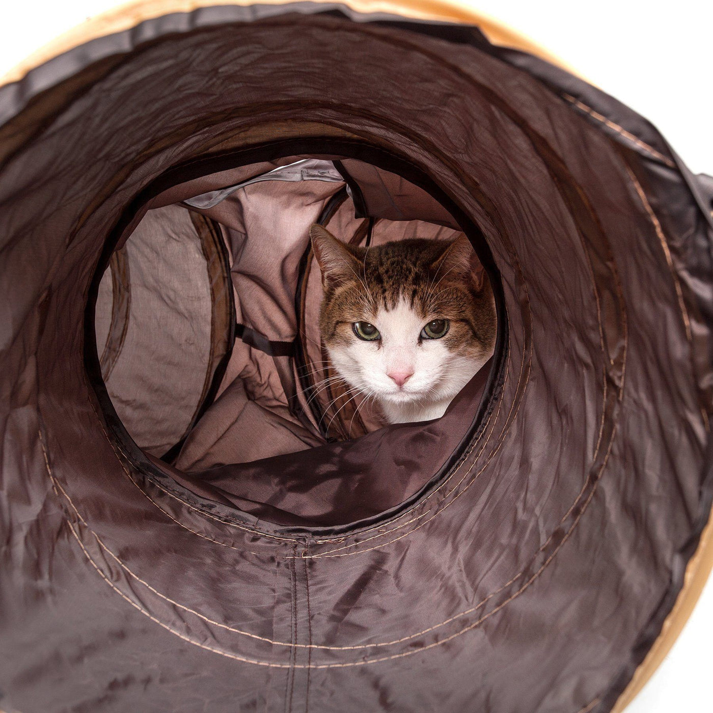 3 way cat tunnel