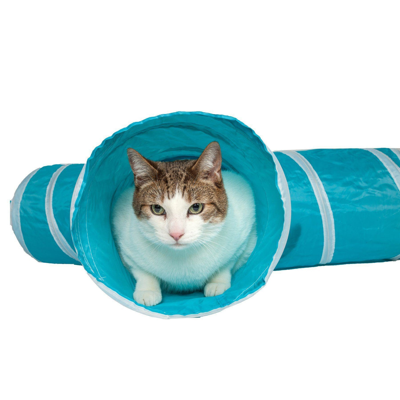 3 way cat tunnel