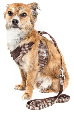 designer dog harness and leash