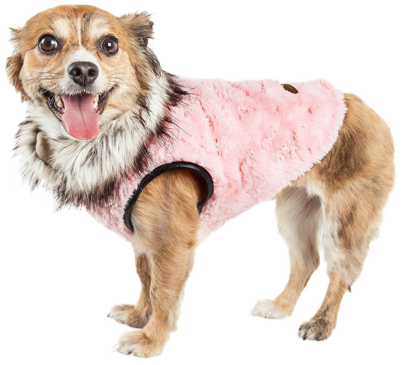 x small dog coat