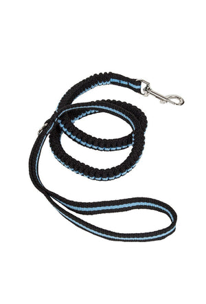 durable dog leash