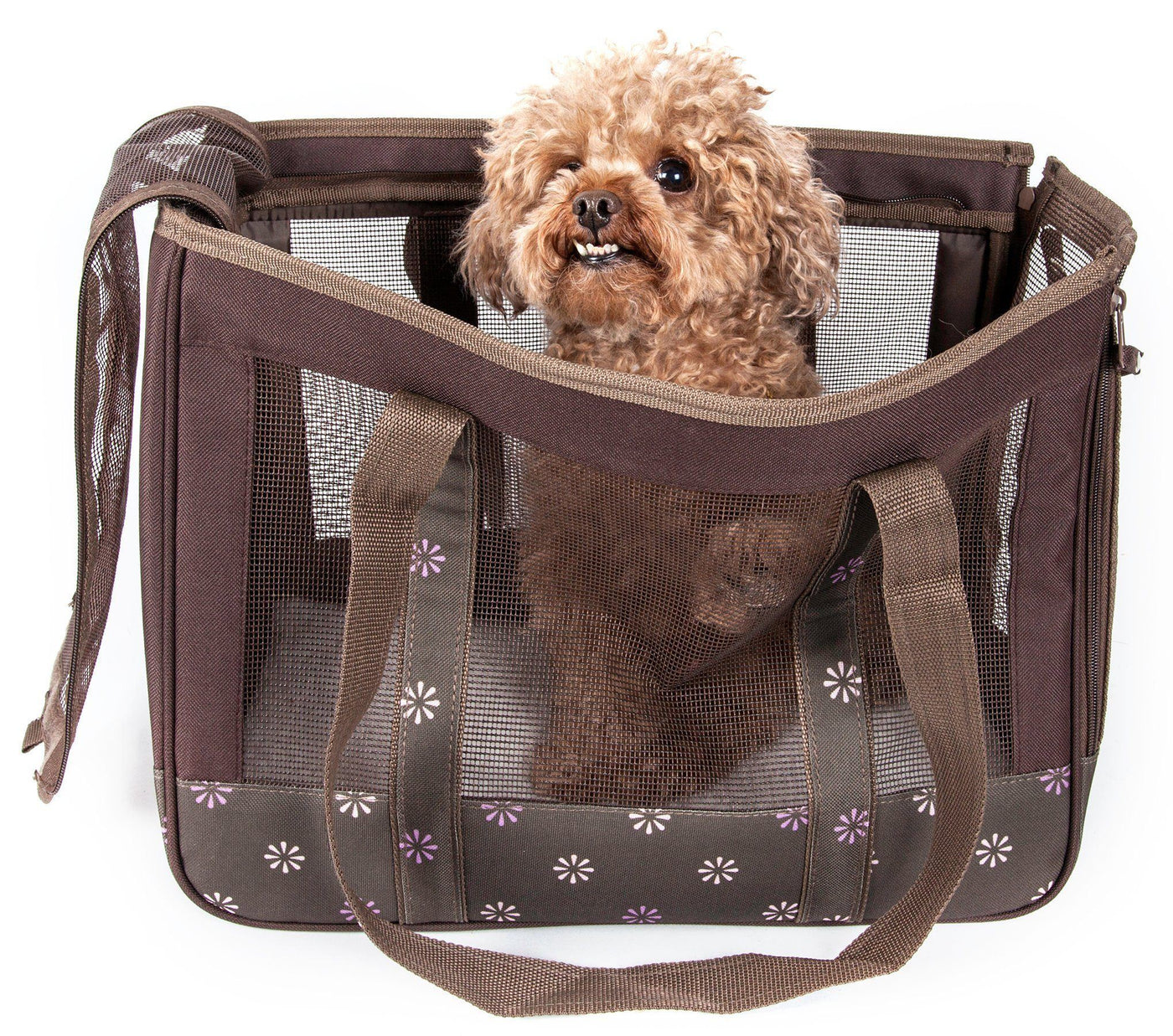 Pet Life Surround View Fashion Designer Airline Approved Dog Carrier