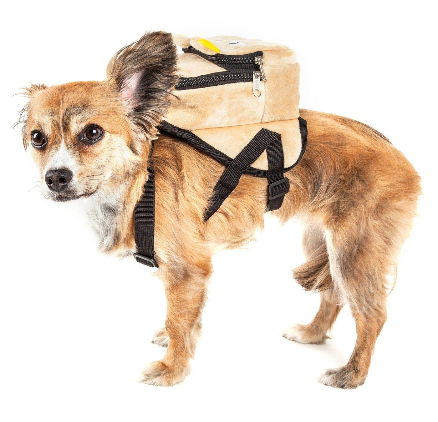 backpack harness for small dogs