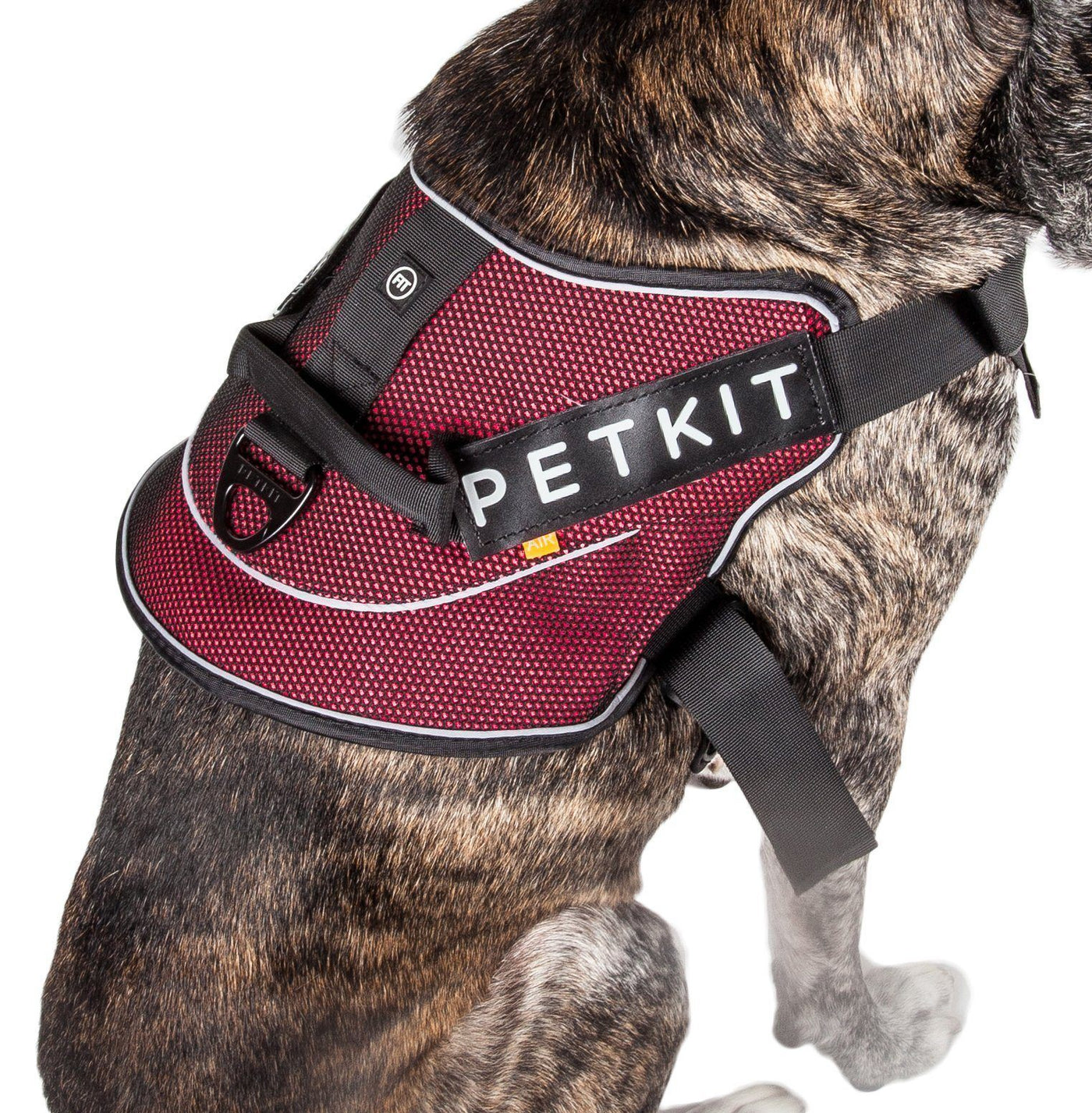 compression harness for dogs
