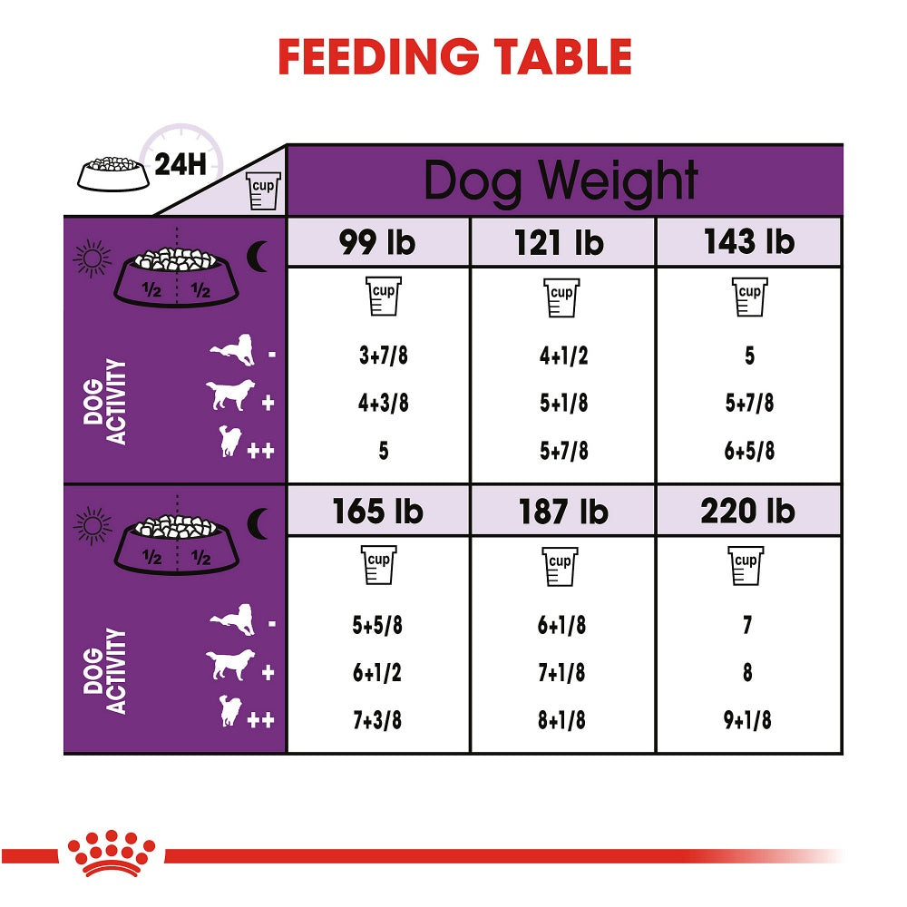 Over instelling Gorgelen trompet Royal Canin Size Health Nutrition Giant Adult Dry Dog Food – Pet Life