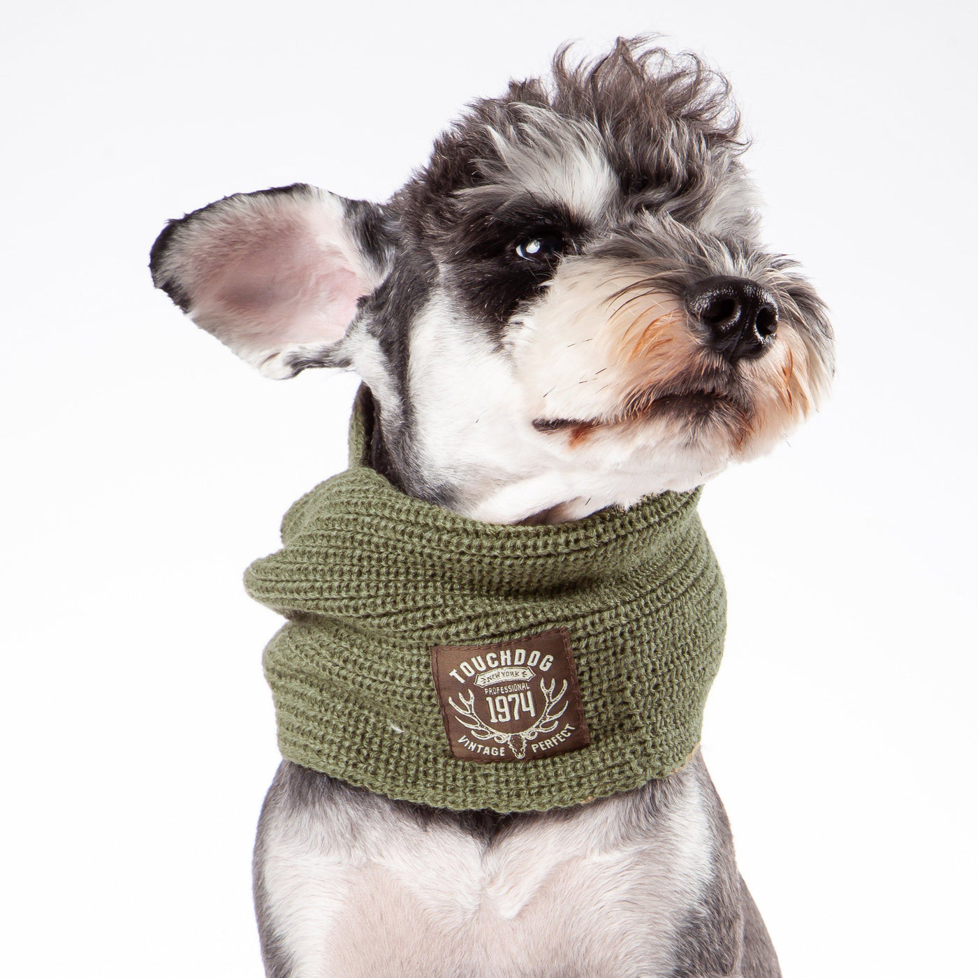 dog winter scarf