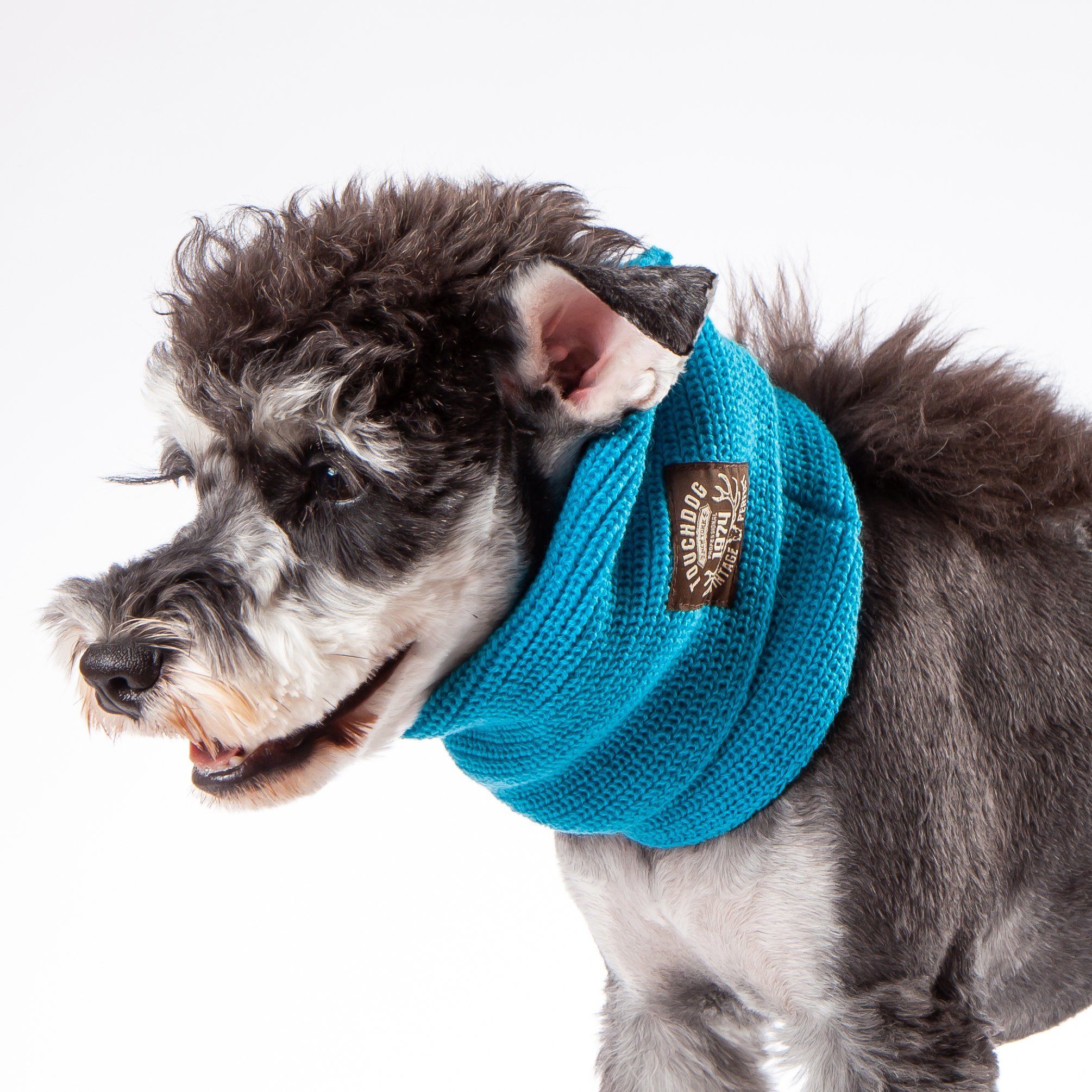 dog winter scarf