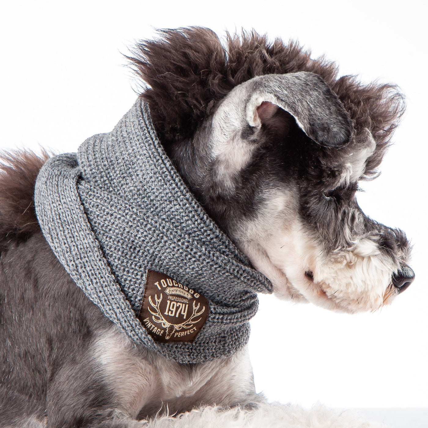 dog winter scarf