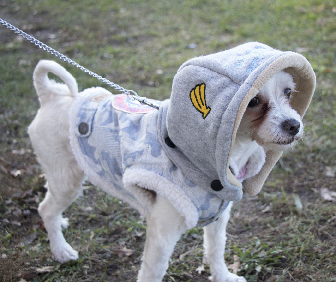 dog sweater coat