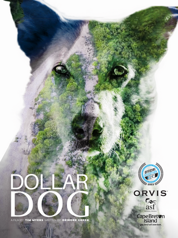 Dollar Dog Film 