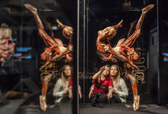 Body Worlds Halifax 