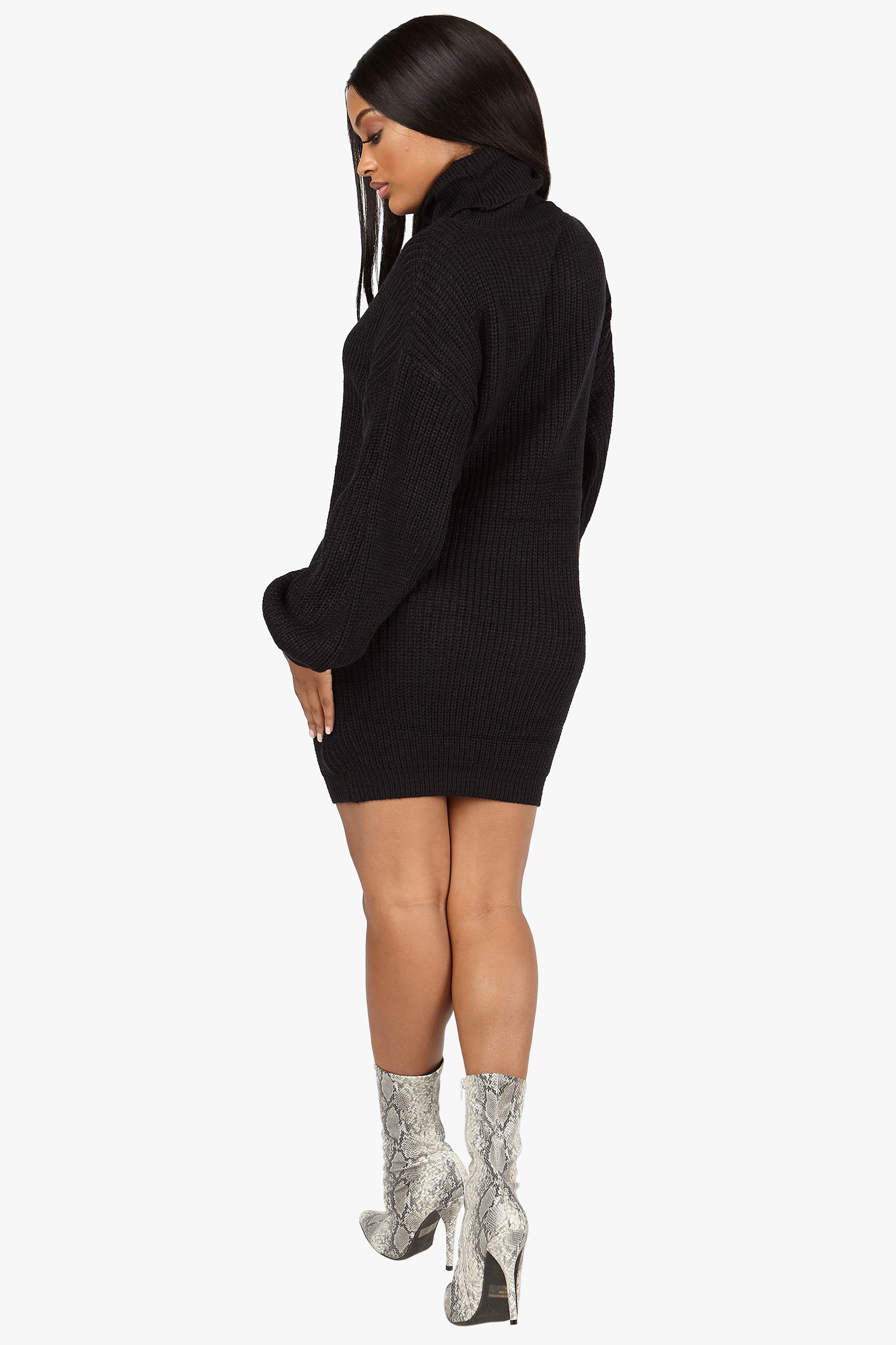 The Usual Oversized Turtleneck Sweater Dress