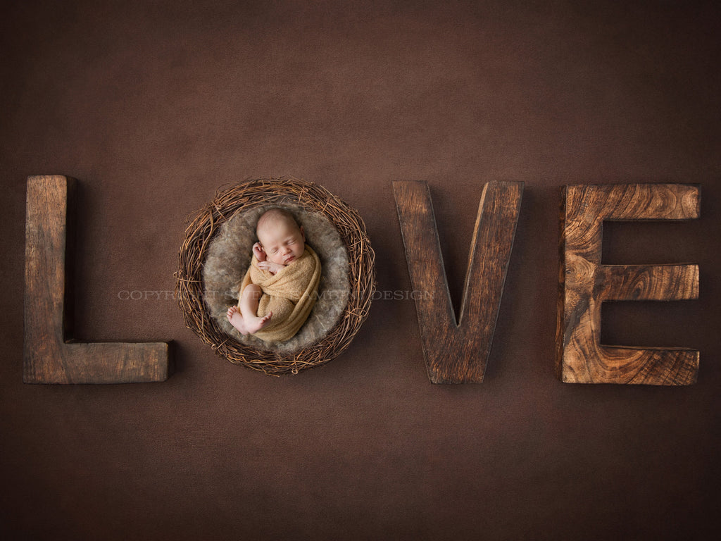 Newborn Photography Digital Backdrop for boys or girls - Rustic Love