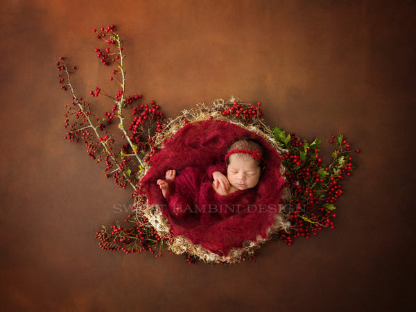 Newborn Photography Digital Backdrop for boys or girls - Natural nest –  Sweet Bambini Design