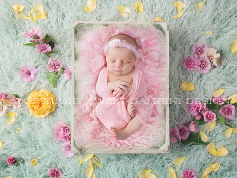 LUXURY DIGITAL BACKDROPS FOR NEWBORN AND BABY PHOTOGRAPHERS – Sweet Bambini  Design