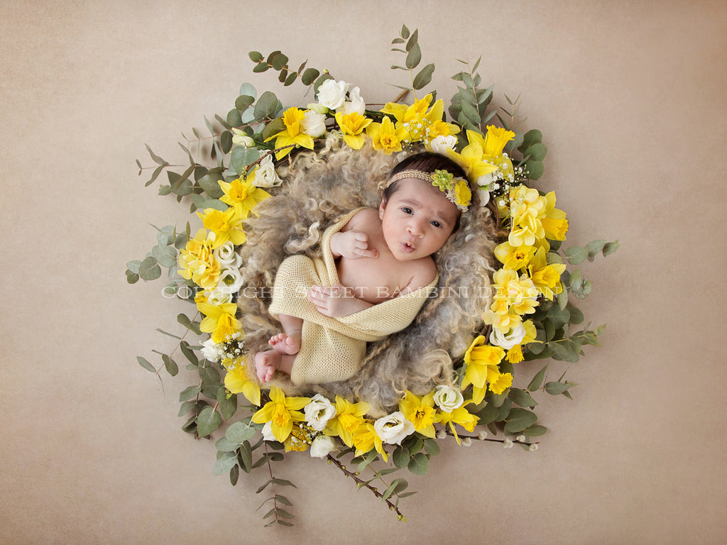 Newborn Digital Backdrop - Fresh Daffodil Nest- Instant Download ...