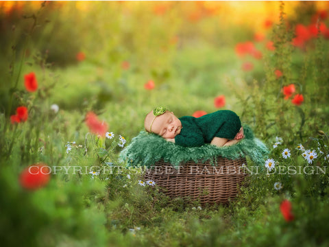 LUXURY DIGITAL BACKDROPS FOR NEWBORN AND BABY PHOTOGRAPHERS – Sweet Bambini  Design