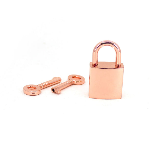 Stainless Steel Padlock Charm Personalized Free Choose Your 