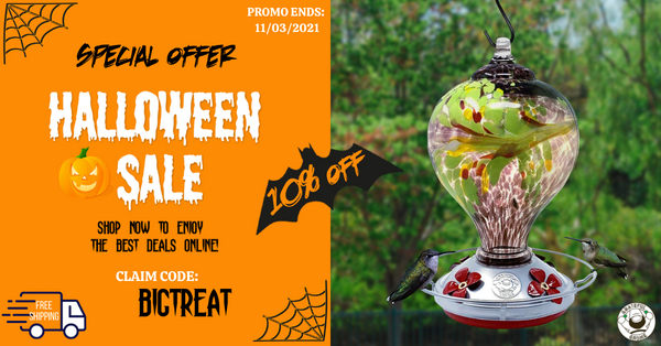 halloween-sale-special-offer