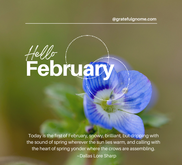 Hello February!