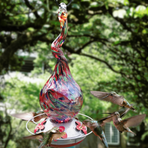 The Ultimate Guide to Attracting Hummingbirds: Tips and Tricks