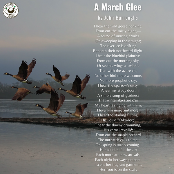 Bird Poems - A March Glee
