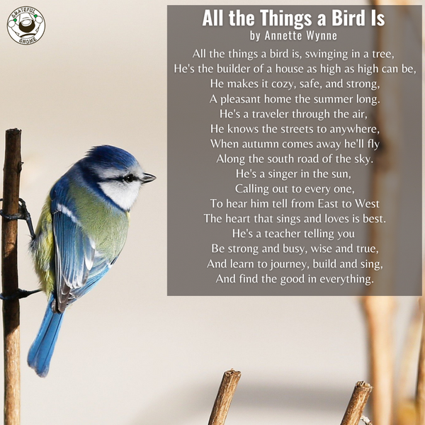 Bird Poems - All the Things a Bird Is