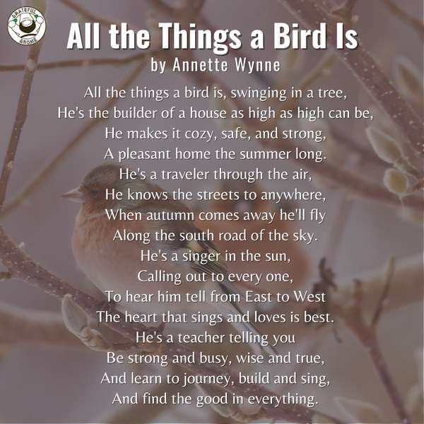 Bird Poems - All the Things a Bird Is
